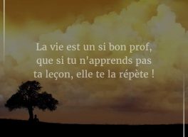 Julie, 33 years old, Woman, Aubervilliers, France