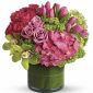 PTH, 62 years oldCentral, USA