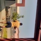 Don, 43 years old, Ouesso, Republic of the Congo