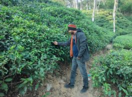 Md shahid bhuyan, 37 years old, Man, Sylhet, Bangladesh