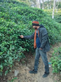 Md shahid bhuyan, 37 years old, Sylhet, Bangladesh