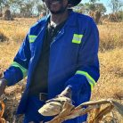 Lloyd, 56 years old, Chitungwiza, Zimbabwe