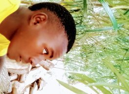 Niwasasira Grigori, 21 years old, Man, Mbarara, Uganda
